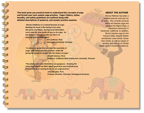 Back Cover of Book