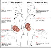 Pelvic Tilt