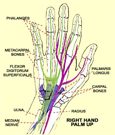 Hand Diagram